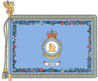 [435 Transport and Rescue Squadron flag]
